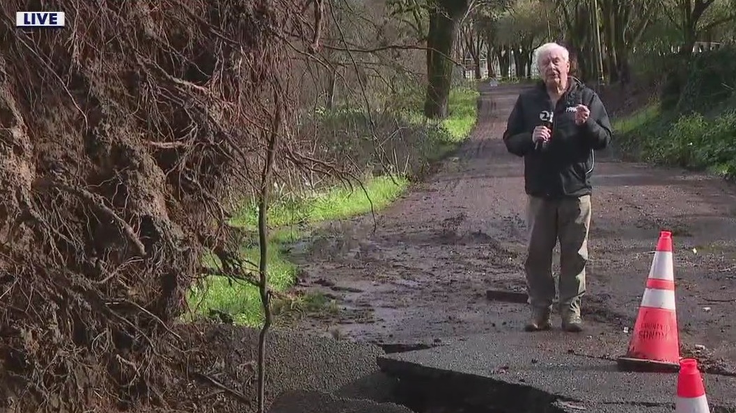 Strong storm fells trees in Santa Rosa