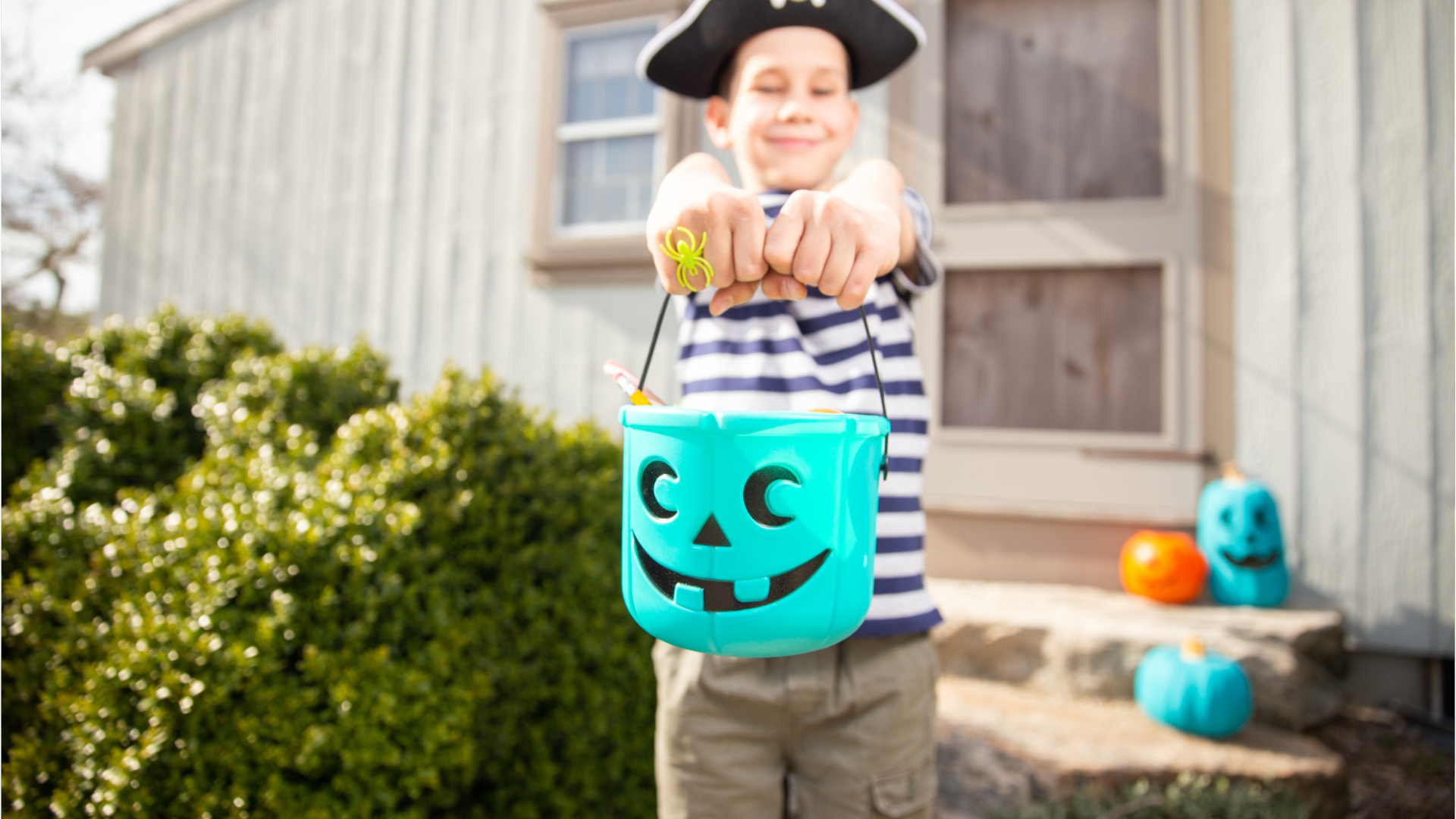 The meaning behind teal pumpkins