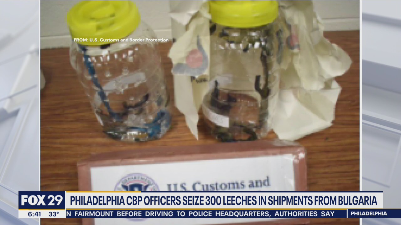 Hundreds of leeches seized by U.S. Customs officials in Philadelphia