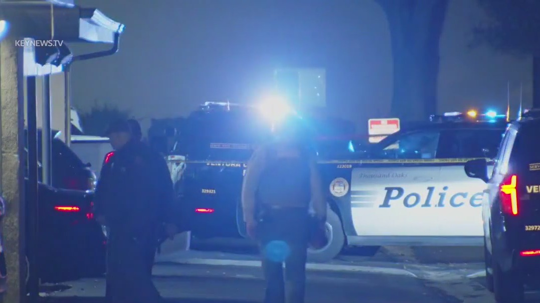 Elderly woman killed in hit-and-run