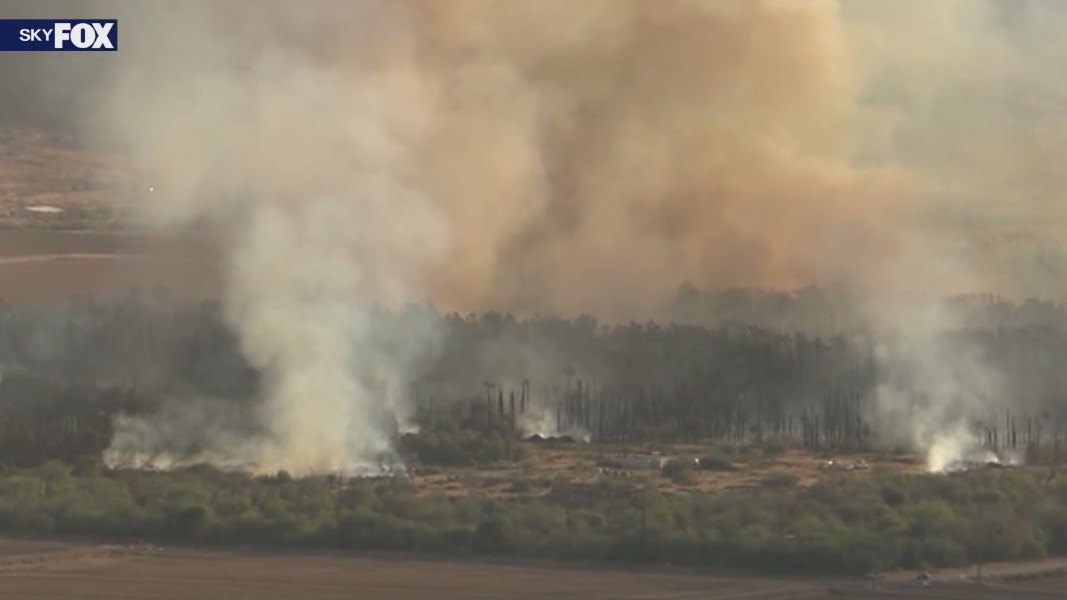 Lightning sparks tree fire in Maricopa