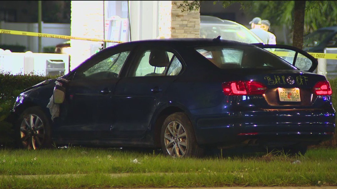 Tampa Police investigating two deadly hit-and-runs