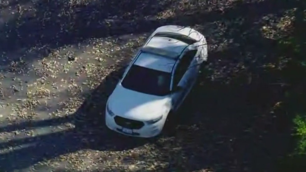 Teen found dead in Cook County forest preserve; death ruled homicide