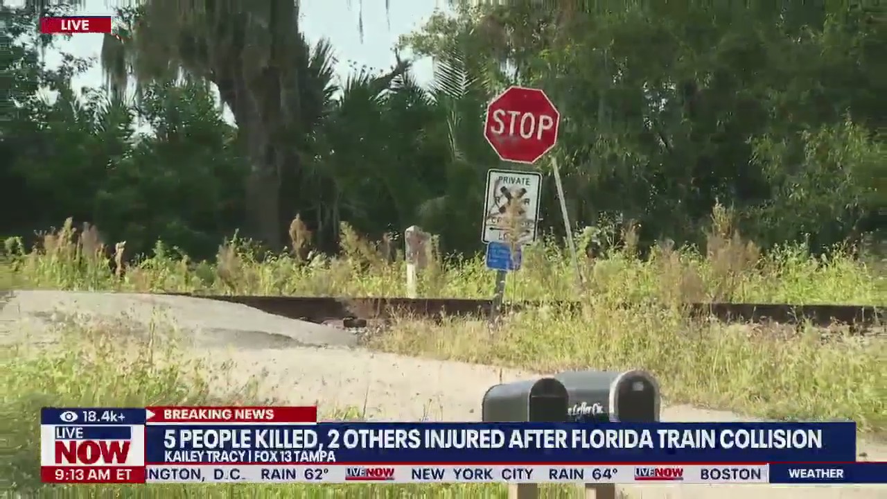 Deadly train crash: 6 dead, 1 hurt