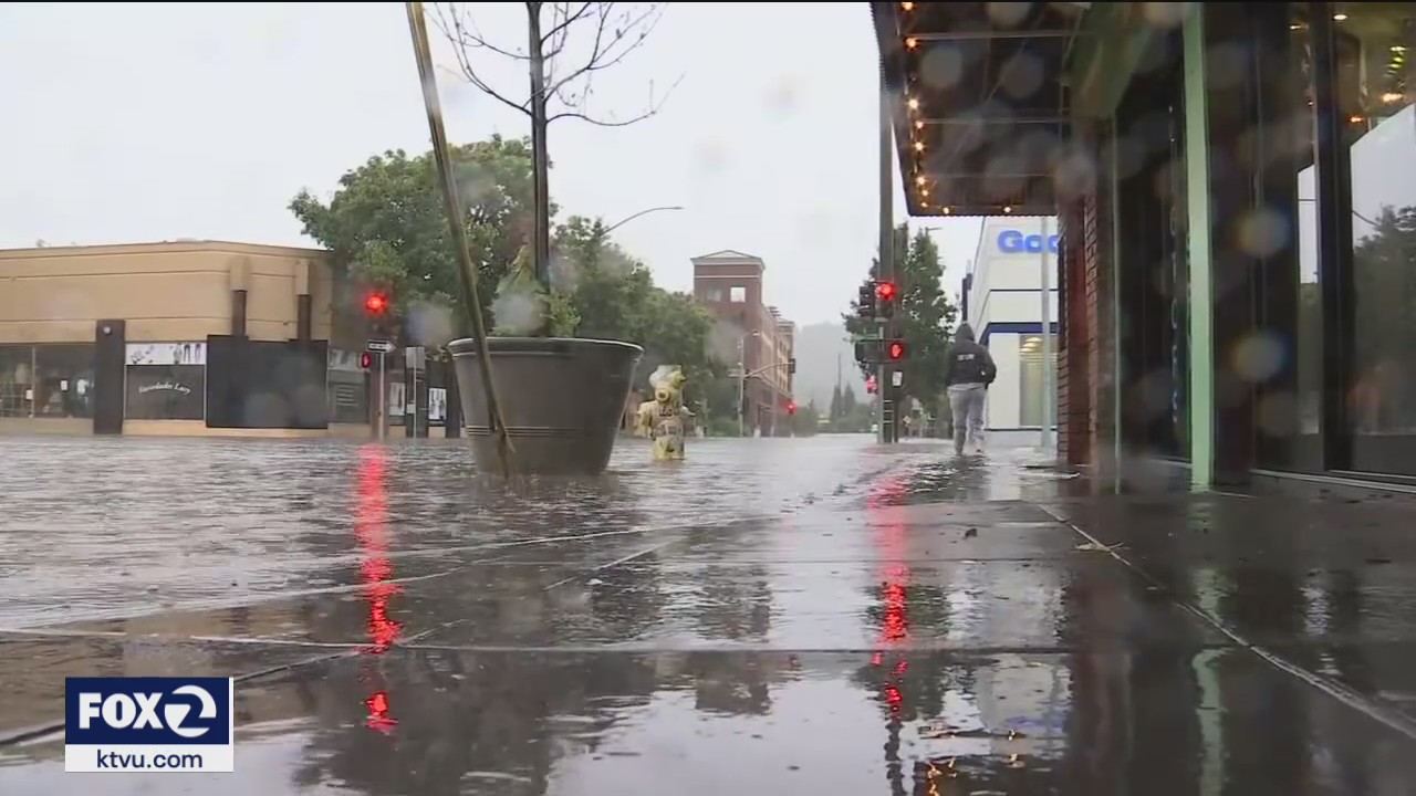 Atmospheric river downs trees, dumps respectable amount of rain