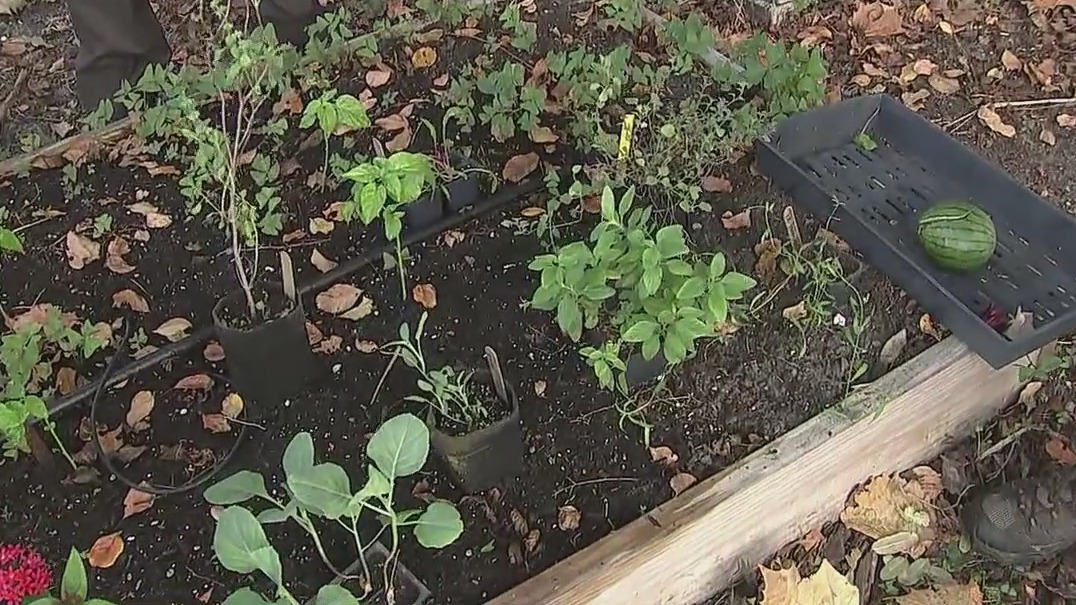 Planting your garden to prepare for the next season
