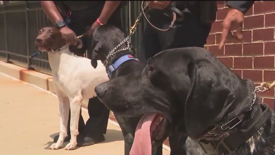 Atlanta Public Schools 3 new K-9 officers