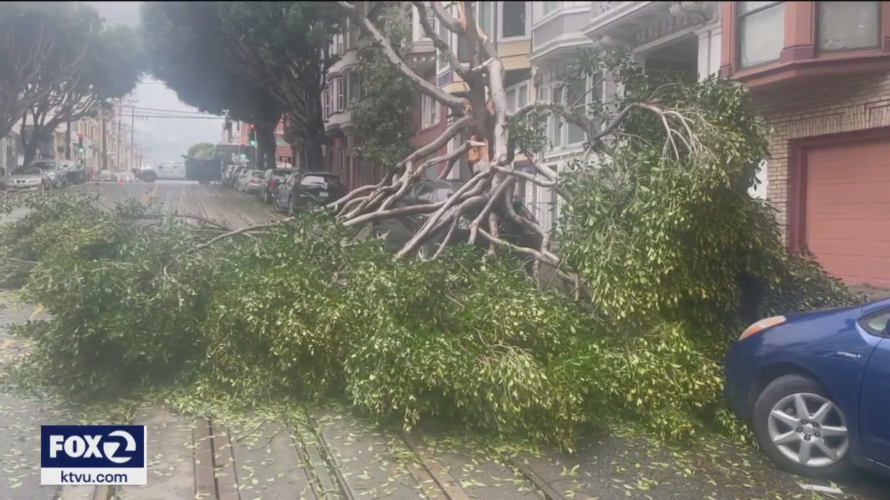 San Francisco recovers from latest deadly storm