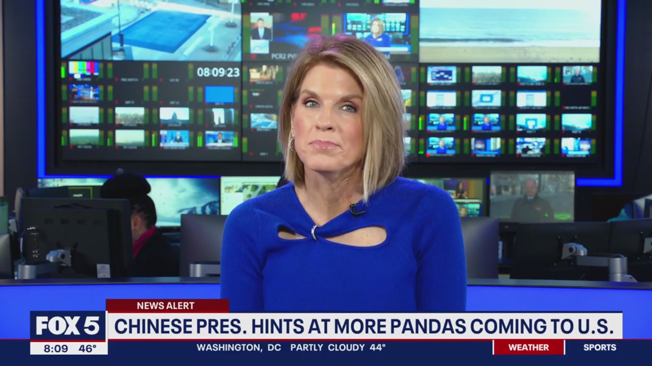 Could pandas return to DC? Here’s what Chinese President Xi said.