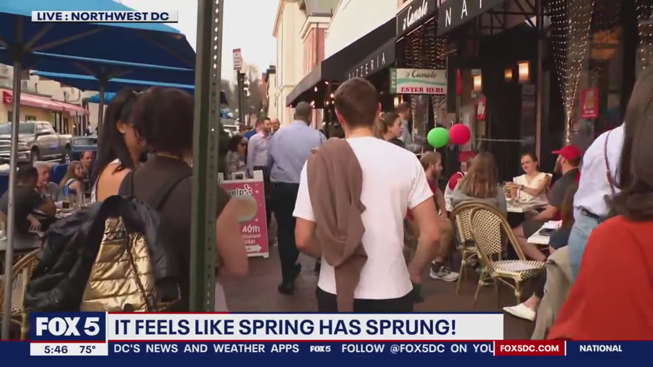 Feels like spring in the District
