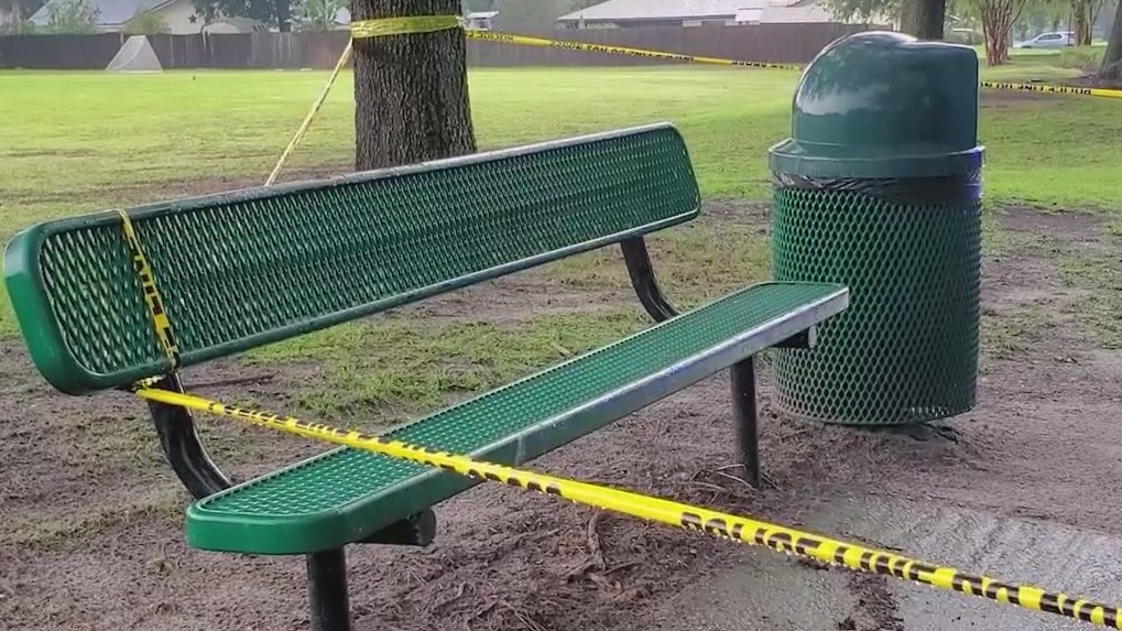Mom dies following lightning strike near elementary school that also injured her child and teen