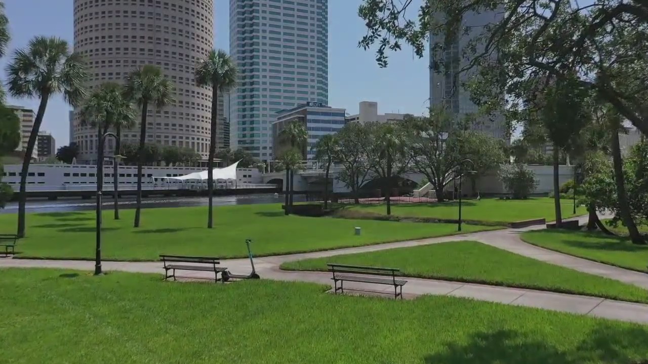 Drone Zone