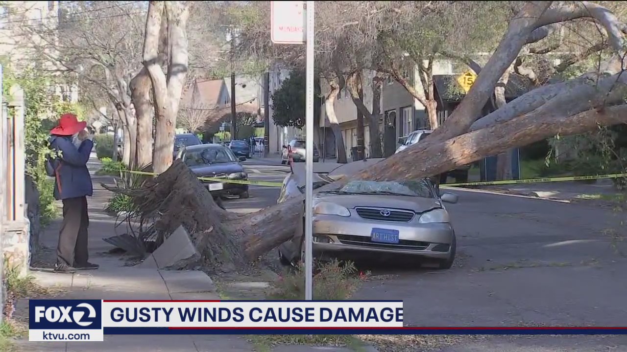 Powerful winds inflicted damage on East Bay