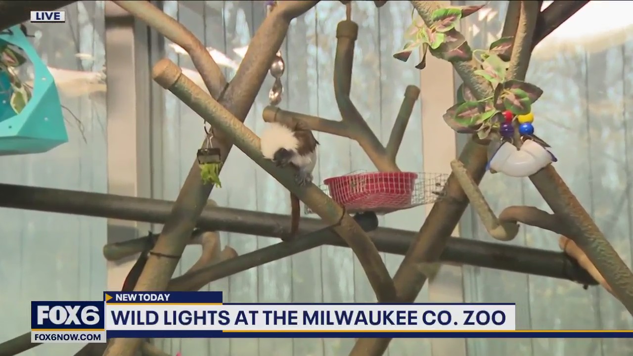 Have you ever wondered what it takes to be a zookeeper at the Milwaukee County Zoo?