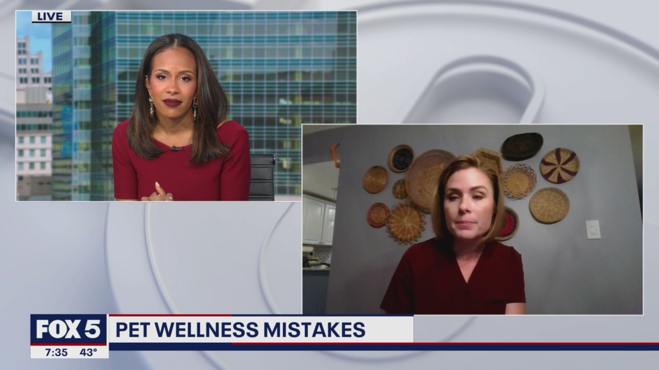 Top 5 wellness mistakes pet owners make