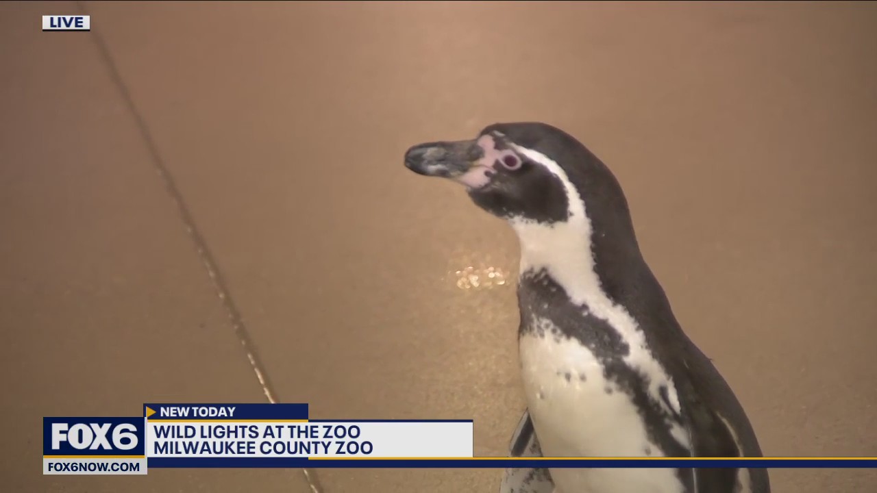 Even through Winter is closing in on us, there’s still plenty to see and do at the Milwaukee County Zoo