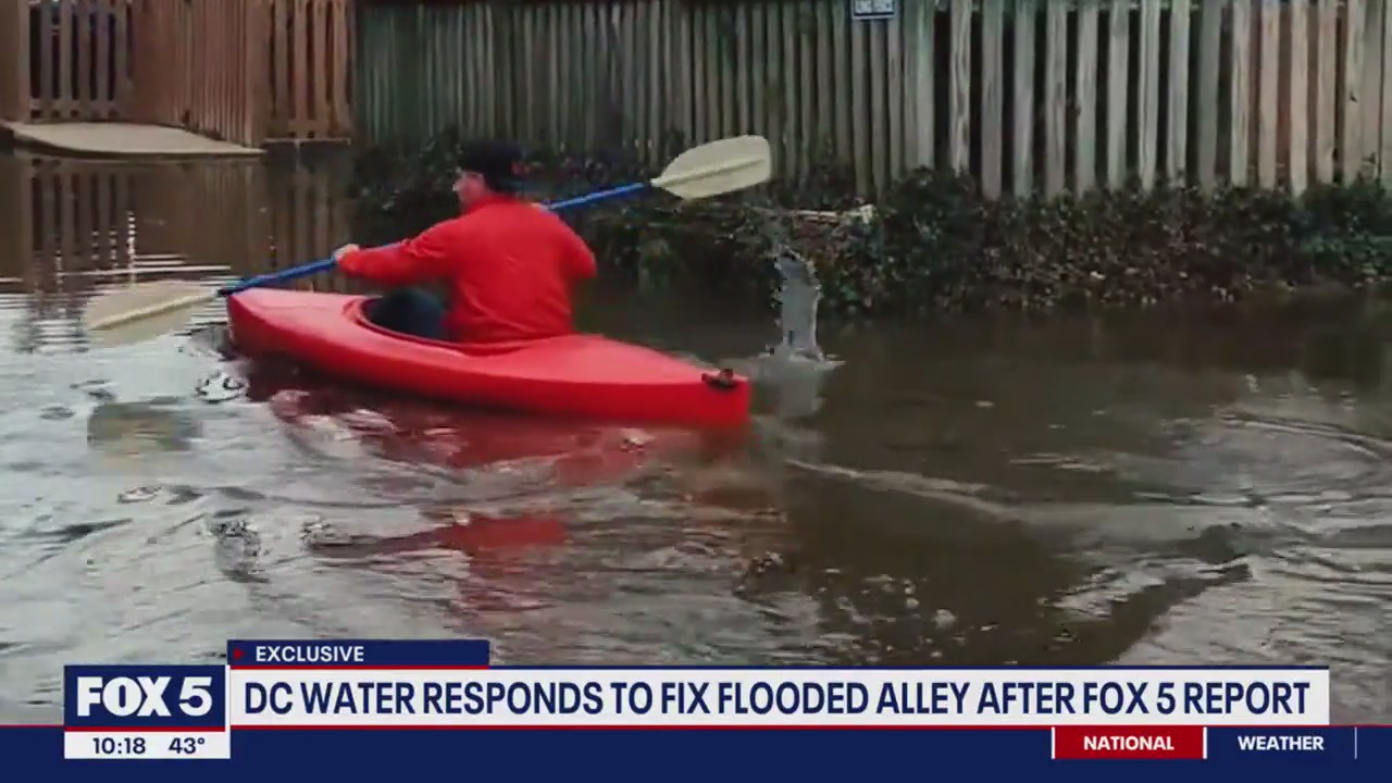 DC resident kayaks in flooded alley after storm