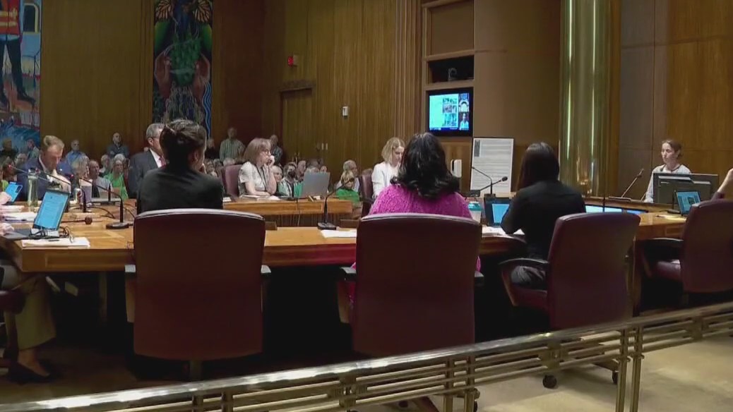 St. Paul City Council to vote on ballot questions