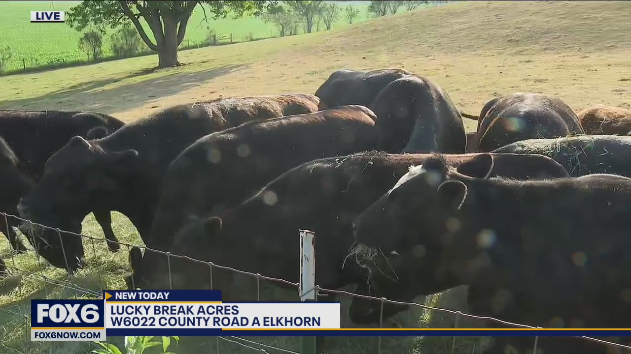 Life on the farm isn’t  easy, but for one retired police officer and his wife the decision to move on a farm was a dream come true
