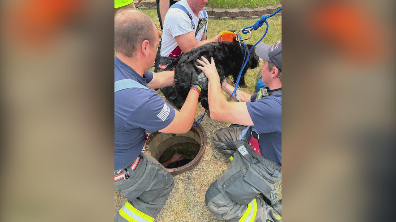 Crews rescue dog that got stuck in New Lenox manhole