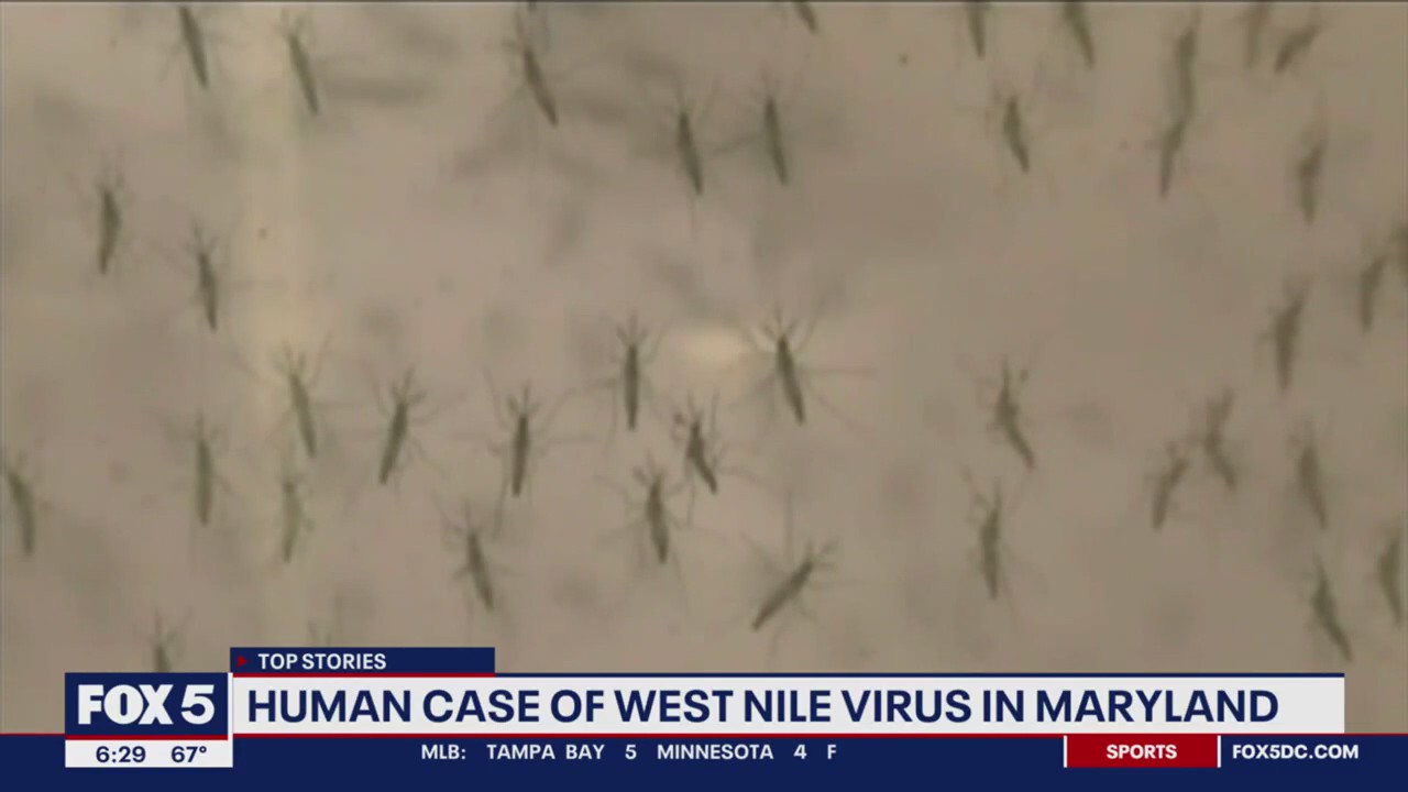 Maryland reports first 2023 human case of West Nile virus