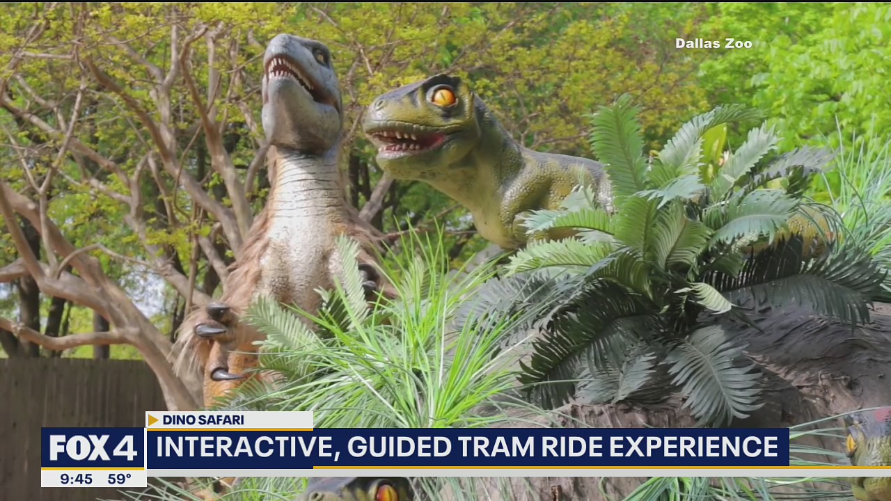 Interactive dinosaur exhibit returns to the Dallas Zoo