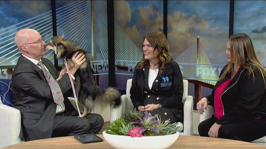 'Frankie's Friends' helps pets facing medical emergencies