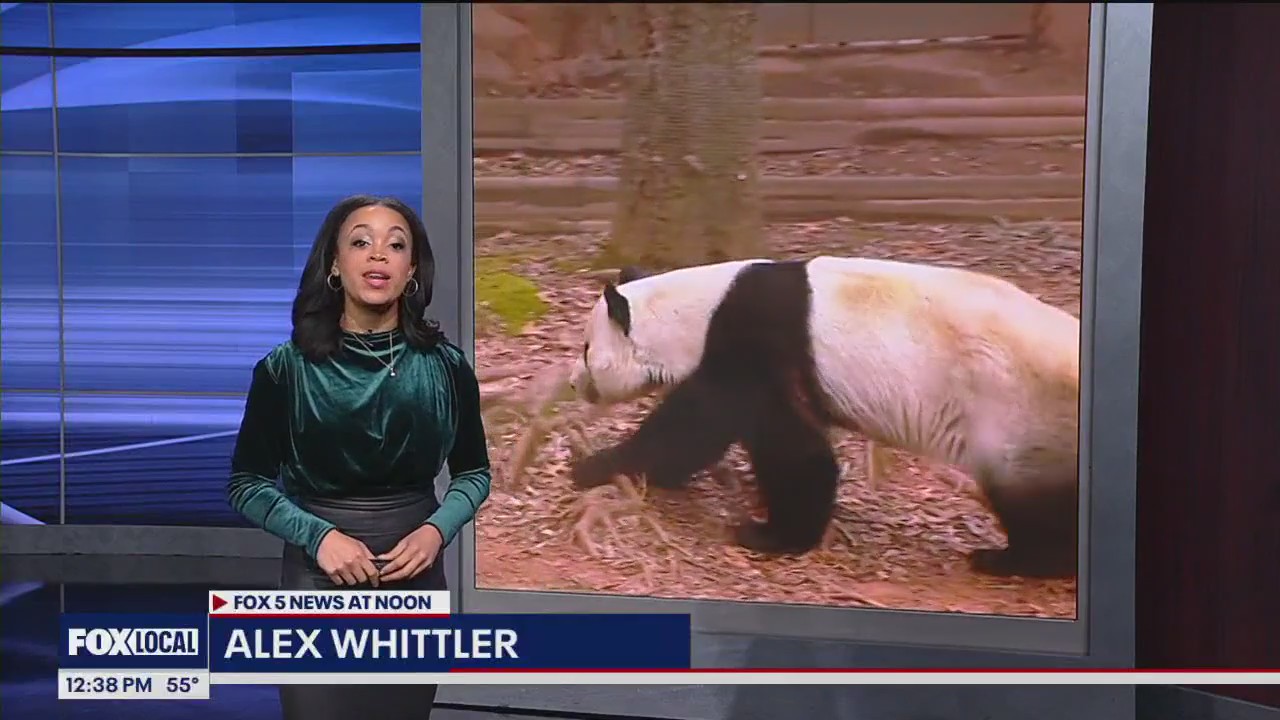 FOX 5 News at Noon Dec. 14, 2023
