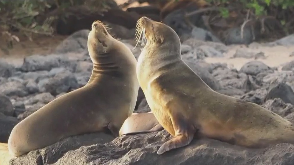 Austin Travels: Spring break ideas