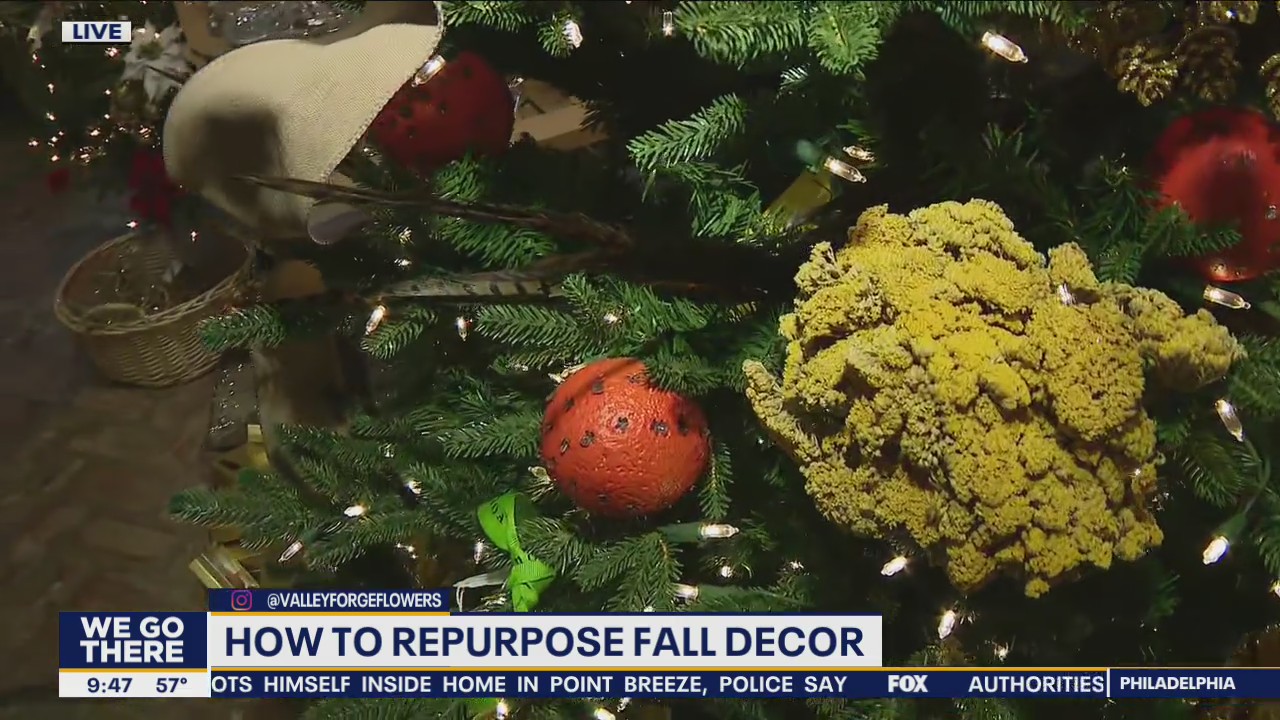 Fall decor that can be used for Christmas