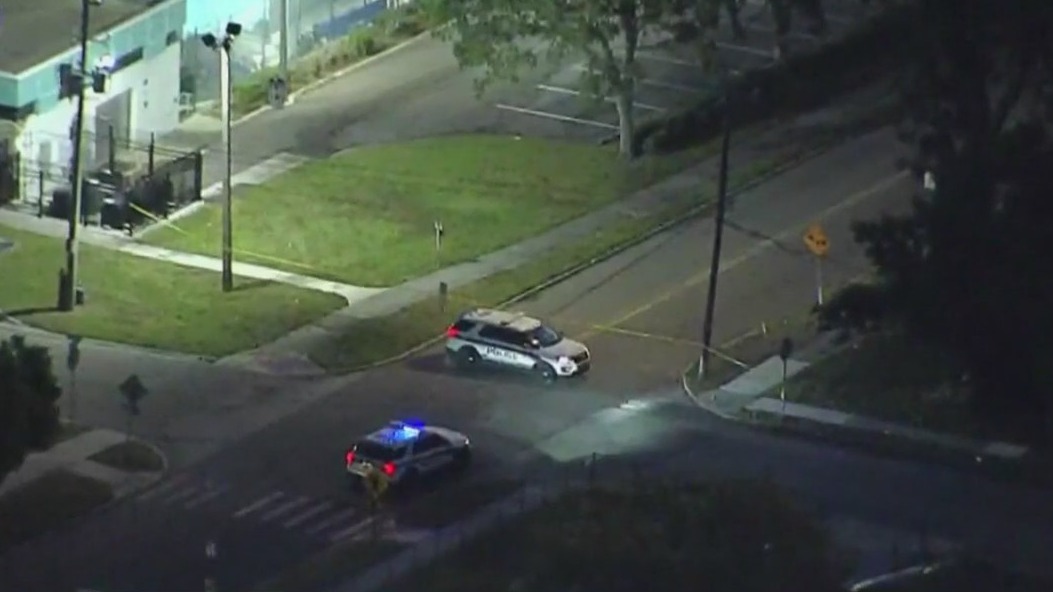 Police investigate hit-and-run as homicide