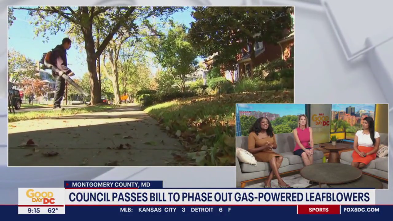 Are leaf blowers a thing of the past?