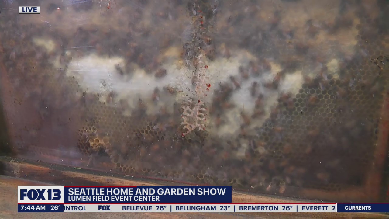 Seattle Home and Garden Show kicks off this weekend
