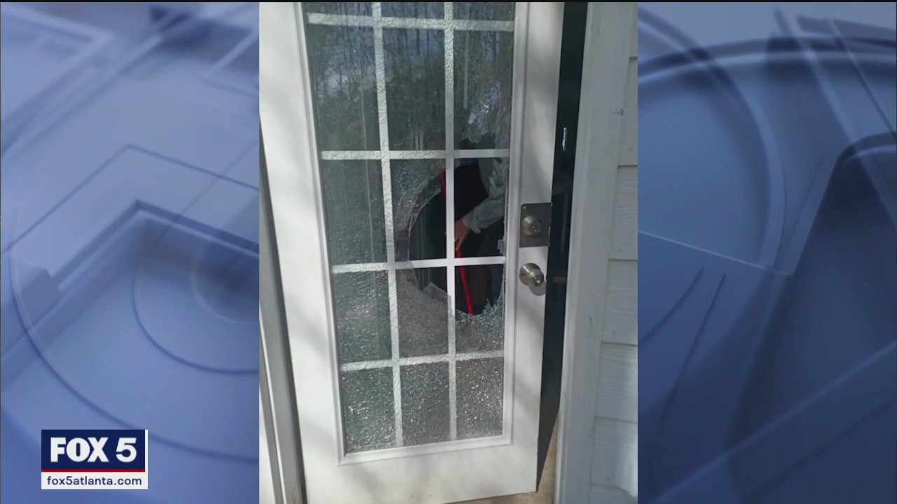 DeKalb County woman says she was targeted for dognapping