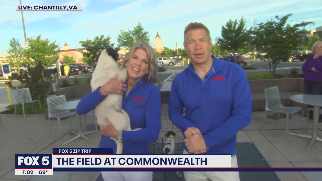 FOX 5 Zip Trip Chantilly: Celebrating and having fun in Chantilly!