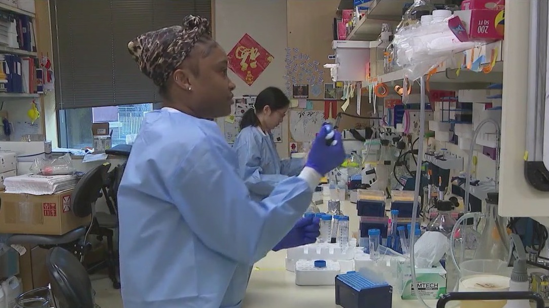 Groundbreaking gene-editing technology could change cancer fight forever