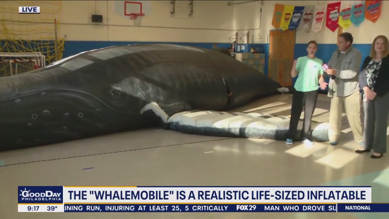 Whalemobile: Realistic life-sized inflatable