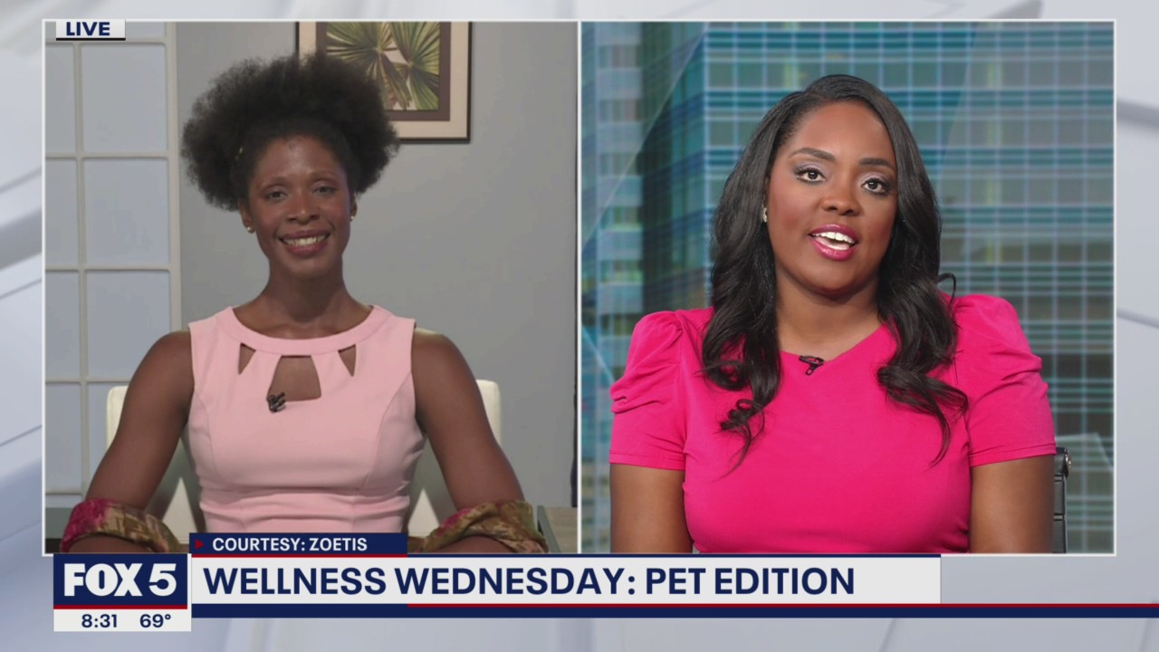 Tips to help your pet deal with common skin problems