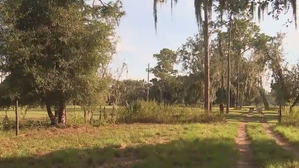 Pasco County ensuring job market meets population growth