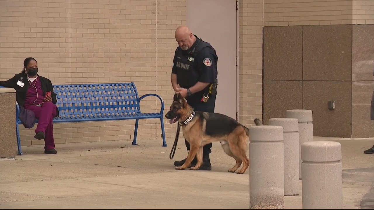 New K9 Officer joins Beaumont Royal Oak security team