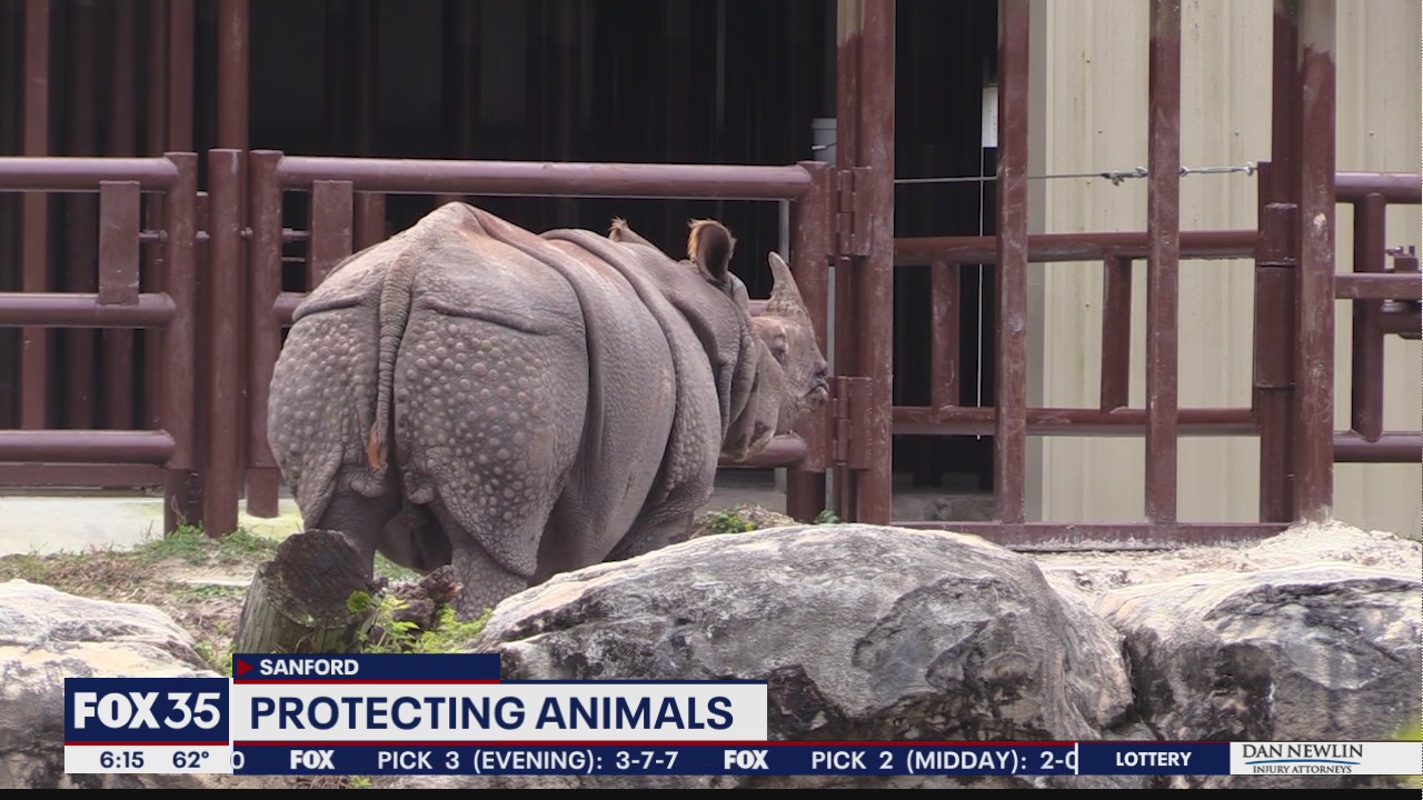 Central Florida Zoo prepares for blast of cold weather