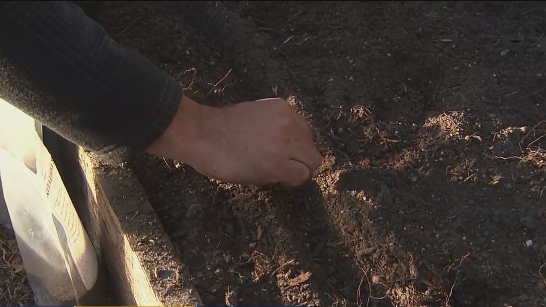 Staging your garden for Florida’s winter