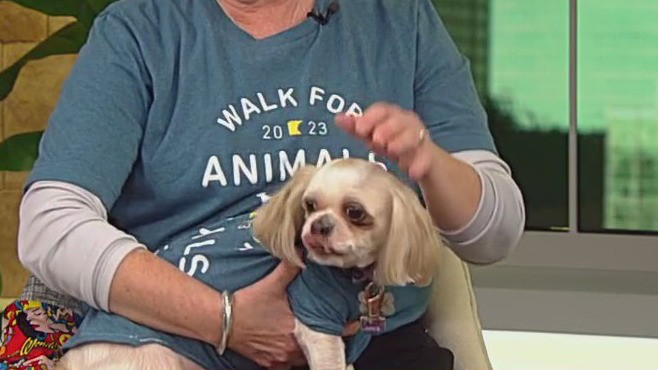 Walk for Animals is this Saturday