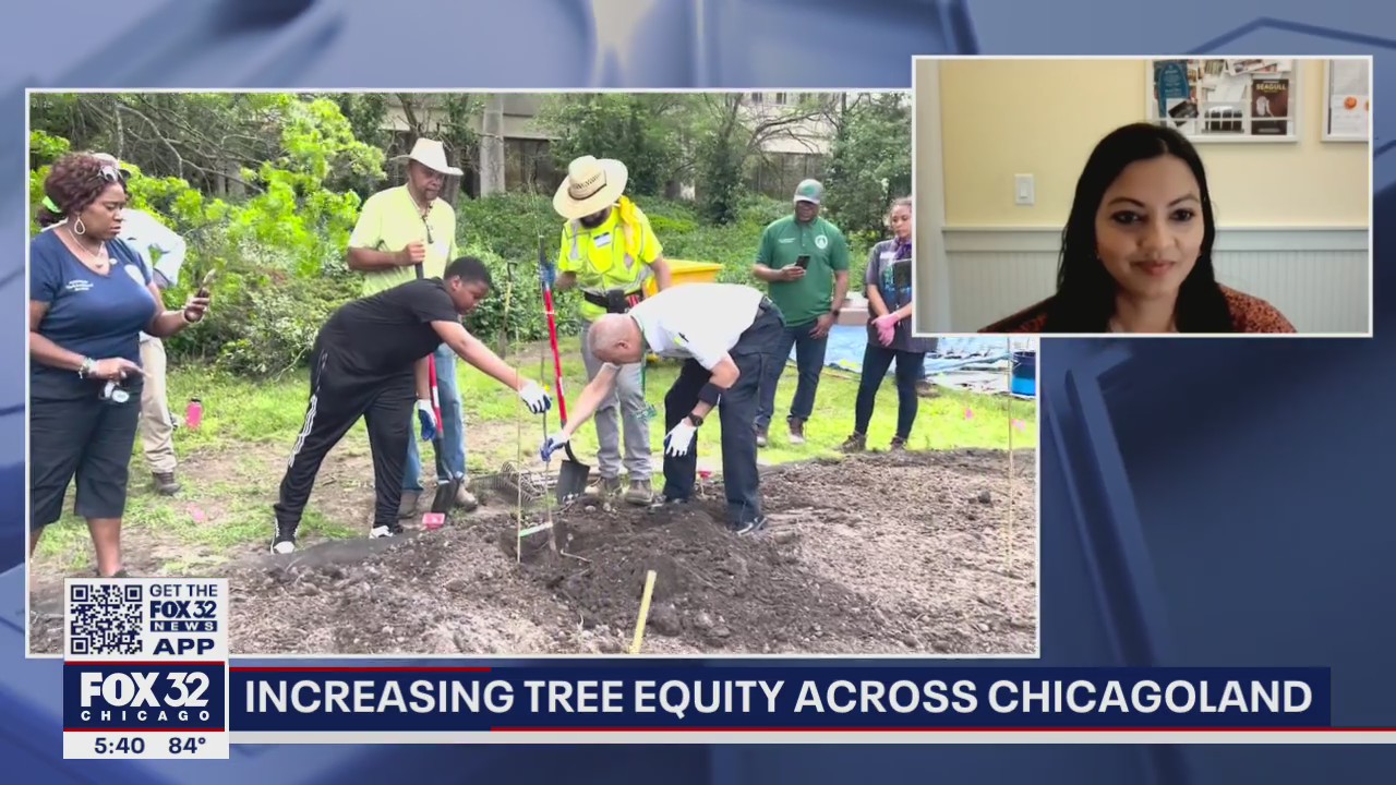 Local nonprofit planting small forests in parts of Chicagoland