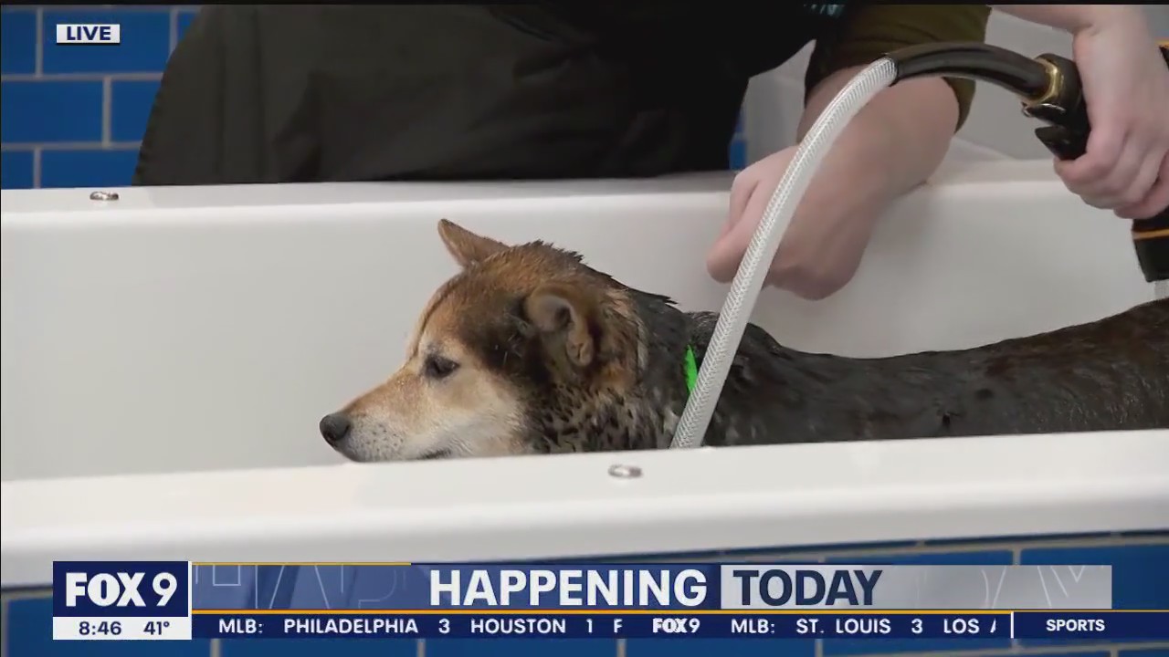 ‘Washes for Wishes’ charity event