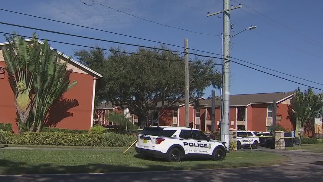 Teen violence in Tampa