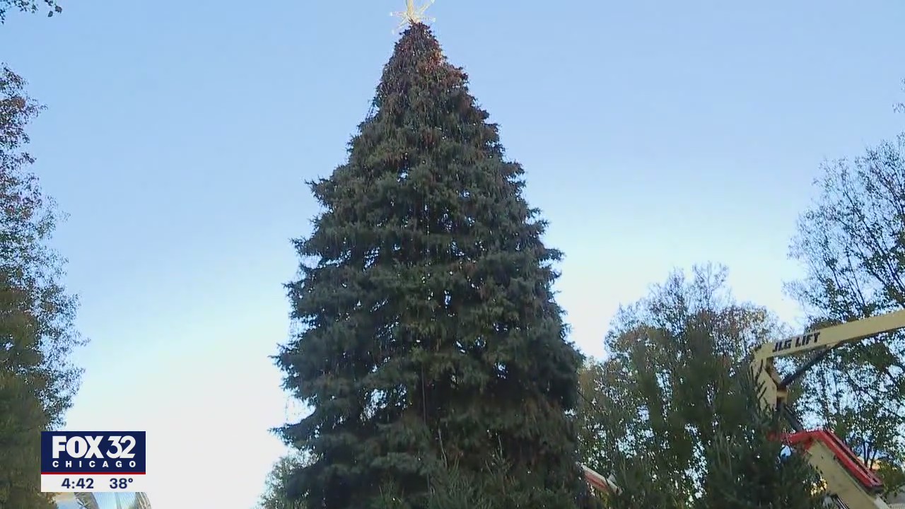 Tree lighting ceremony scheduled for Friday