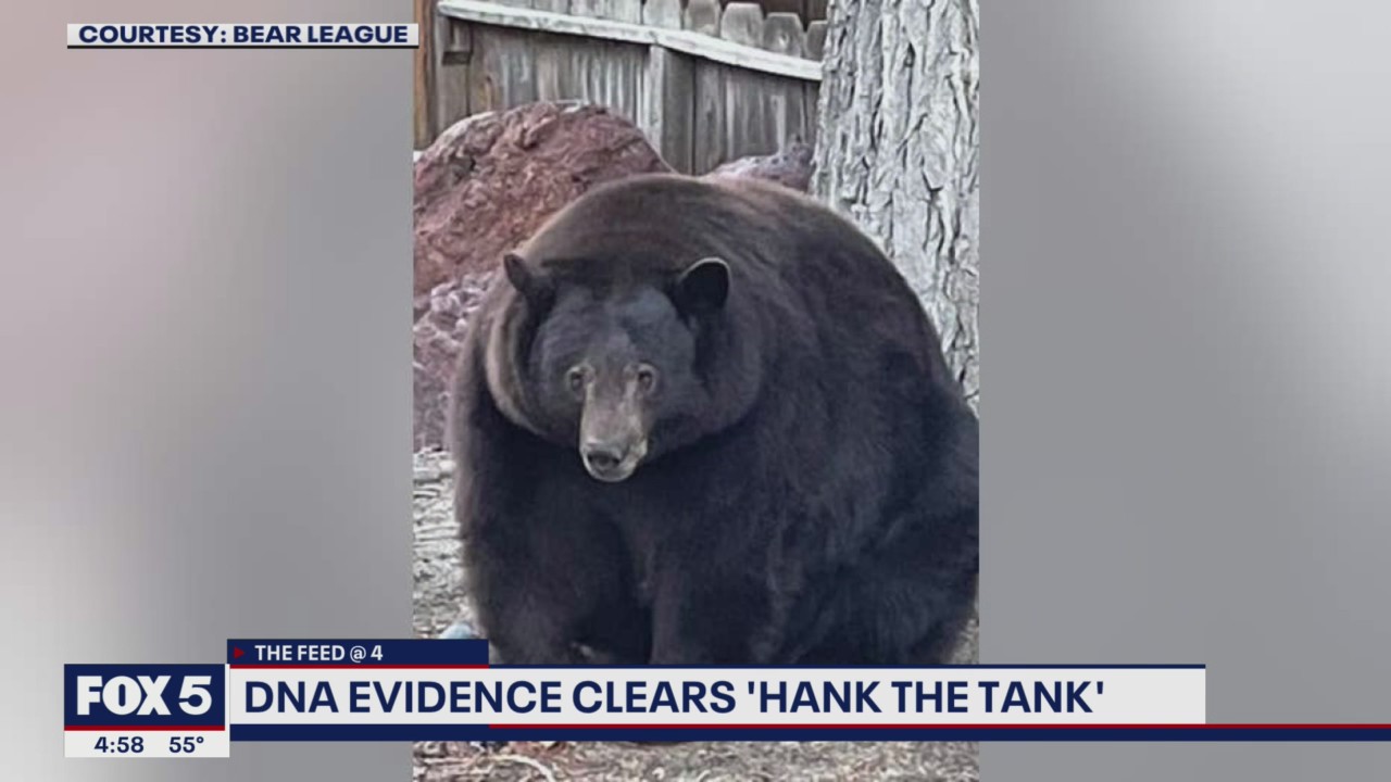 SOCIAL SHARE: "Hank the Tank" has been framed