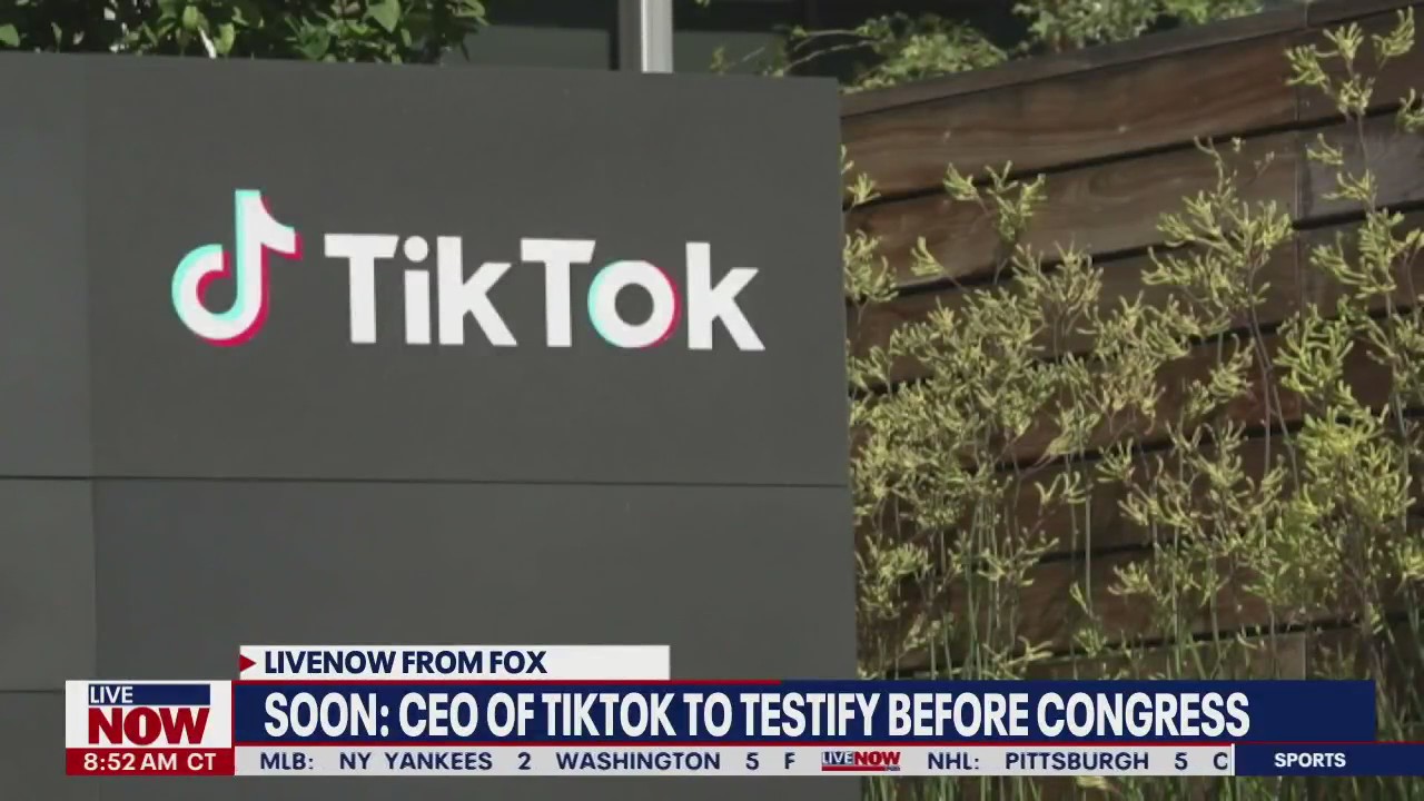 Bloomberg Law discusses testimony from TikTok CEO
