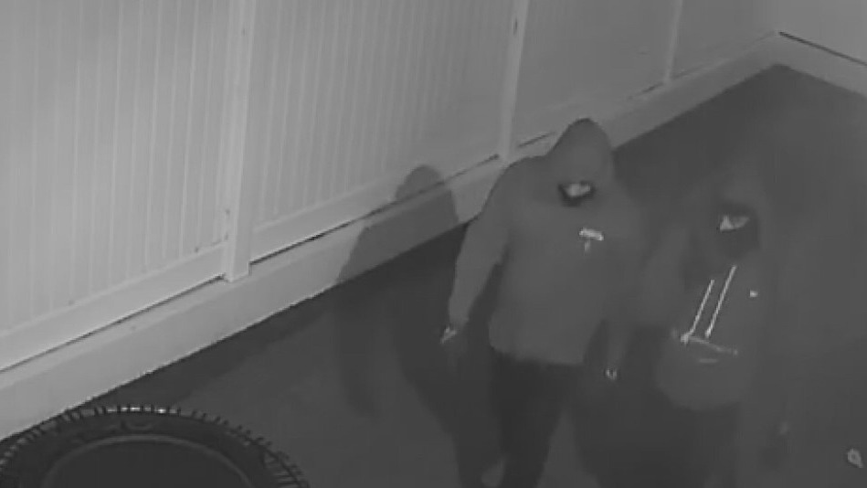 LAPD releases new footage of Dorit Kemsley's home invasion